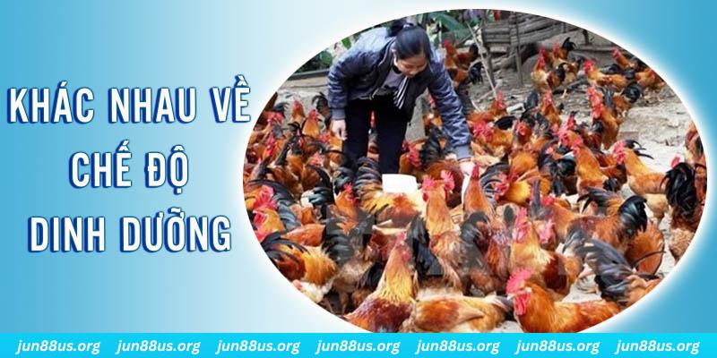 fai88 xổ số miền nam thứ năm hàng tuần